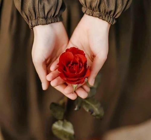 عکس پروفایل جدید گل دخترانه