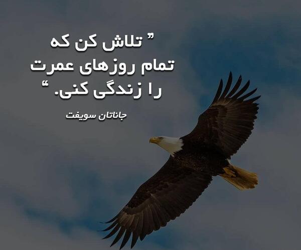 عکس پروفایل زندگی جدید