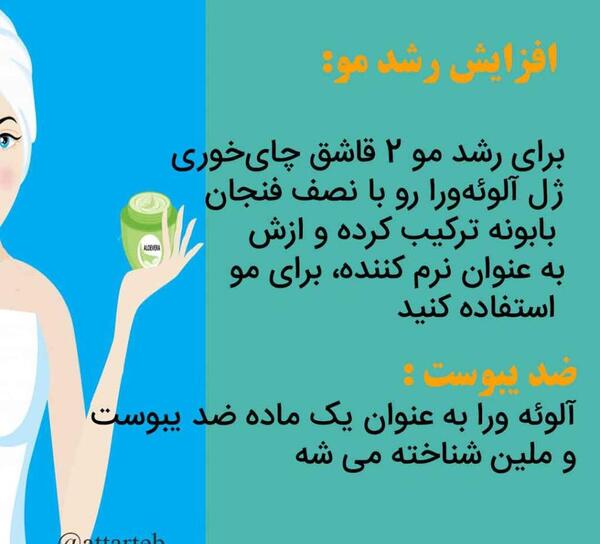 عکس گل صبر زرد
