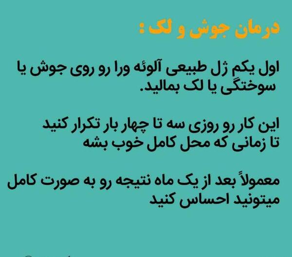عکس گل صبر زرد