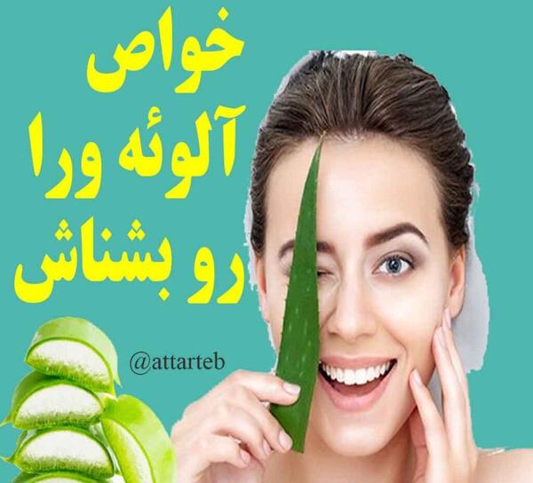 عکس گل صبر زرد