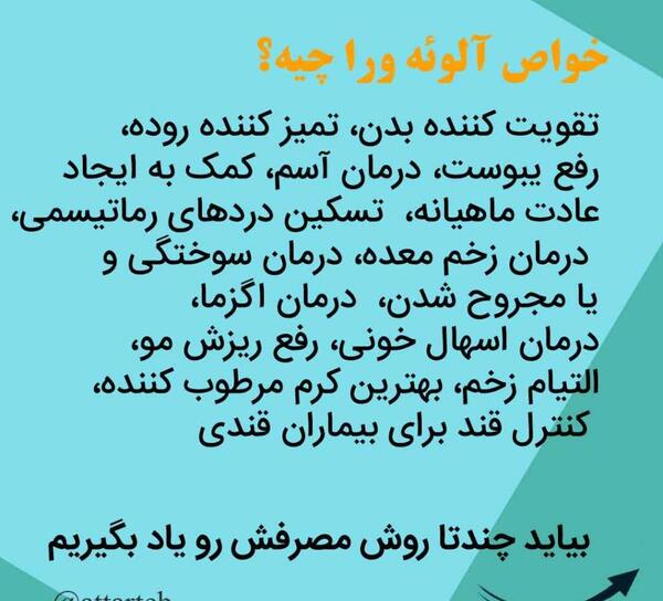 عکس گل صبر زرد