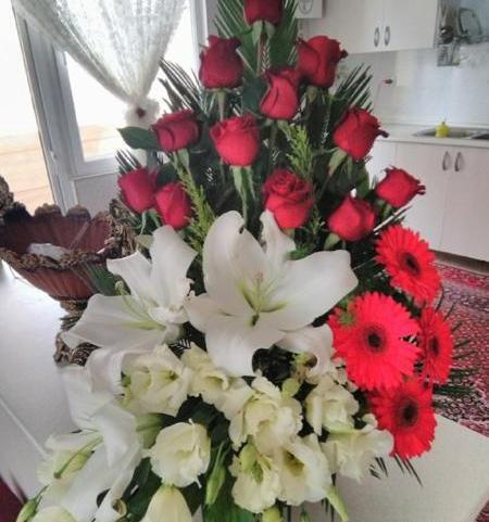 عکس گل و شیرینی مراسم خواستگاری فیک