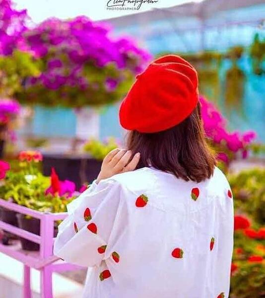 عکس برای پروفایل دخترانه صورتی