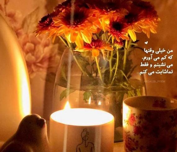محل ذخیره عکس پروفایل واتساپ