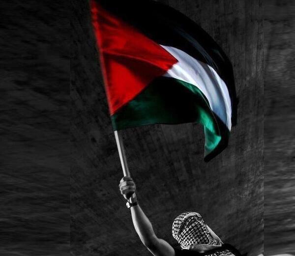 عکس پروفایل فلسطین بدون متن