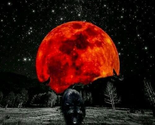 عکس پروفایل از آسمان شب