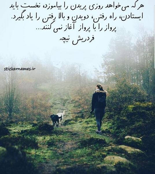 عکس پروفایل پرواز در آسمان