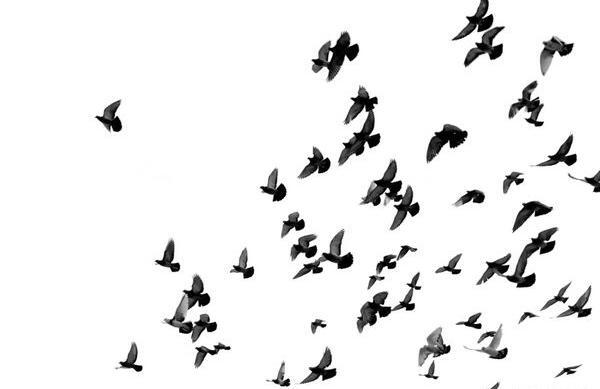عکس پروفایل اسمان سیاه