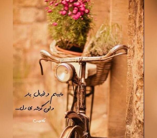نمایش عکس پروفایل واتساپ برای یک نفر