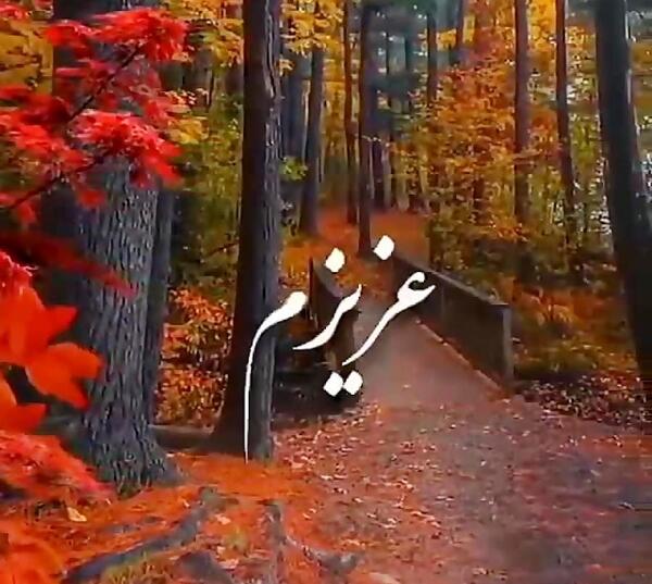 عکس پروفایل جدید همسرم