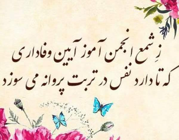 عکس پروفایل جدید همسرم