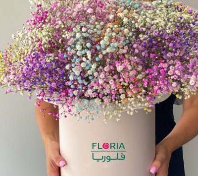 عکس گل ژیپسوفیلا برای پروفایل