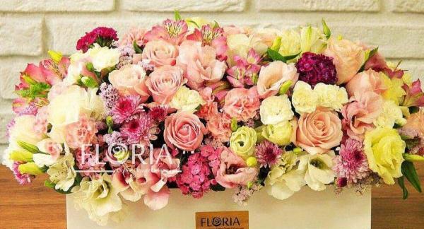 عکس گل ژیپسوفیلا برای پروفایل