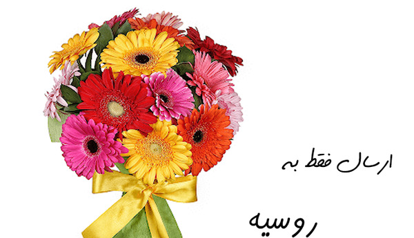 عکس گل ژیپسوفیلا برای پروفایل