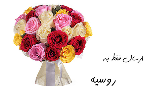 عکس گل ژیپسوفیلا برای پروفایل