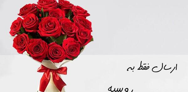 عکس گل ژیپسوفیلا برای پروفایل