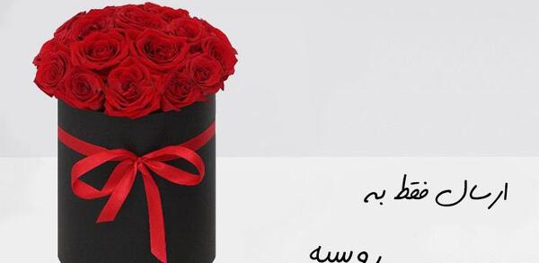 عکس گل ژیپسوفیلا برای پروفایل