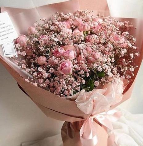 عکس گل ژیپسوفیلا برای پروفایل