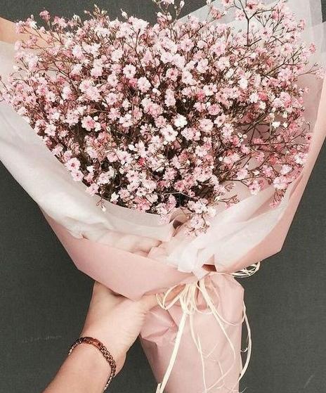 عکس گل ژیپسوفیلا برای پروفایل