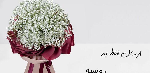 عکس گل ژیپسوفیلا برای پروفایل