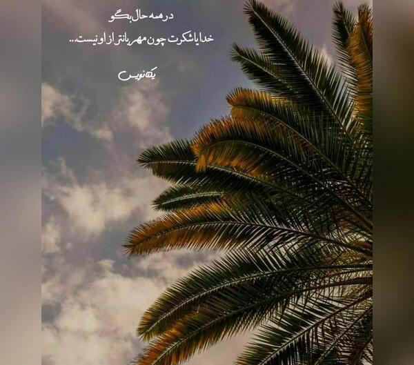 عکس پروفایل جدید واتساپ