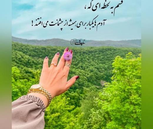 عکس پروفایل جدید گربه