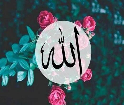 عکس پروفایل جدید حسبی الله