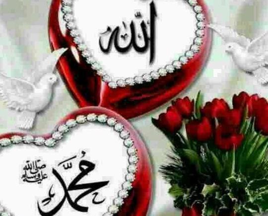 عکس پروفایل جدید حسبی الله