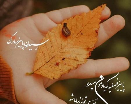 عکس پروفایل واتساپ پاییزی