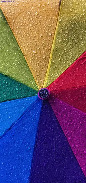 عکس گل برای تصویر زمینه شاد