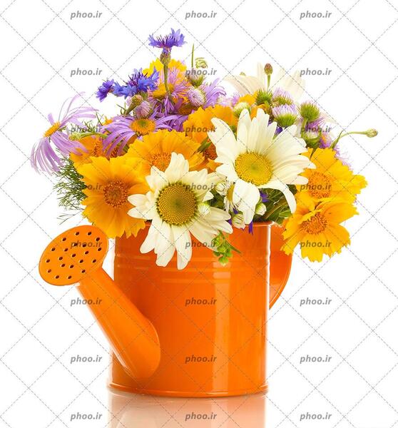عکس گل برای تصویر زمینه شاد