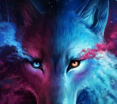 عکس گرگ برای پروفایل واتساپ با متن