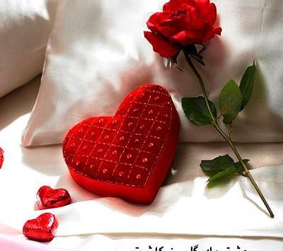 عکس گل عشق برای تصویر زمینه