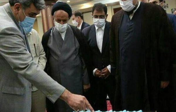 عکس کیک عروس مرده