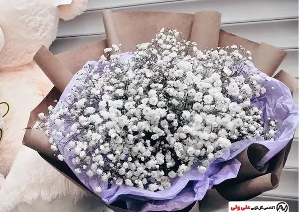 عکس گل ژیپسوفیلا سفید