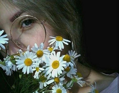 عکس پروفایل دخترانه گل بابونه