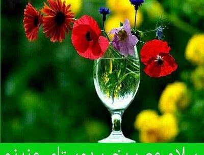 عکس گل نوشته ظهر بخیر