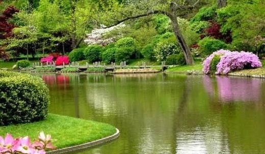 عکس پروفایل جدید طبیعی