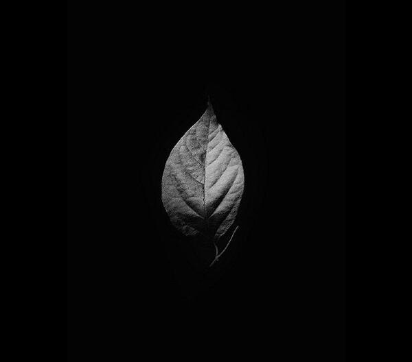 عکس پروفایل دخترونه صفحه گوشی