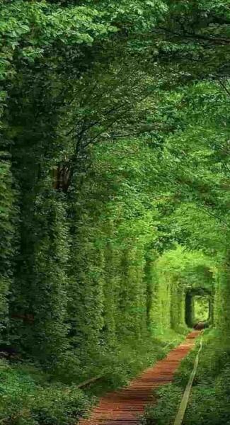 عکس پروفایل جدید طبیعت