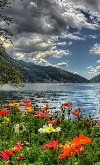 عکس پروفایل جدید طبیعت