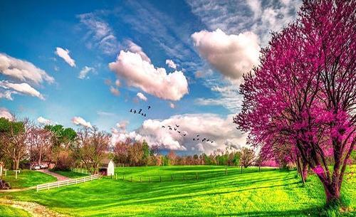عکس پروفایل جدید طبیعت