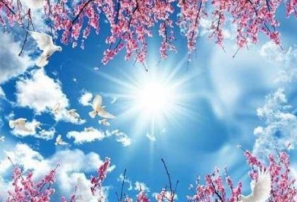 عکس پروفایل جدید طبیعت