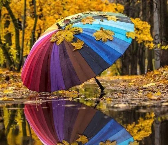 عکس پروفایل جدید طبیعت