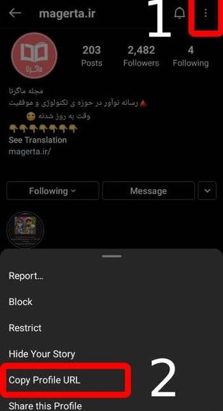 نحوه ذخیره عکس پروفایل اینستاگرام