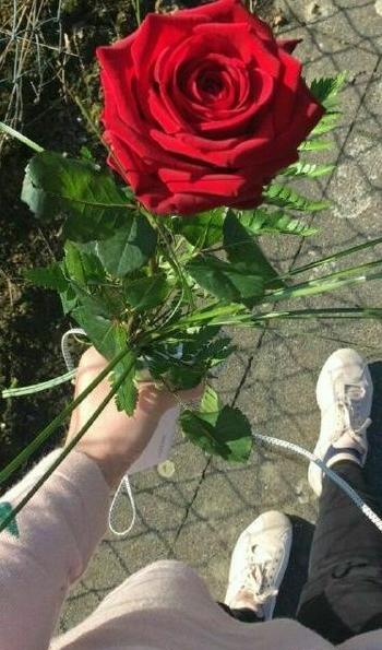 عکس گل فیک برای استوری