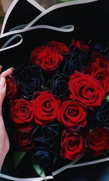 عکس گل فیک برای استوری