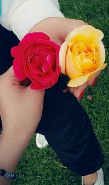 عکس گل فیک برای استوری