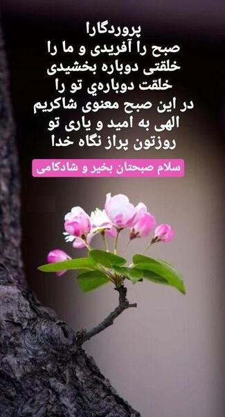 عکس پروفایل سلام صبح بخیر جدید
